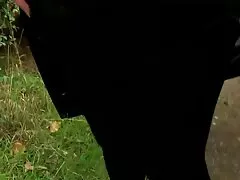 ক্যান্ডি বেত 1 ডাইরেক চুদাচুদি