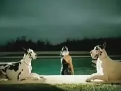 ক্রিস্টিন. চুদাচুদি ডাউনলোড